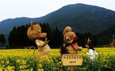 油菜花节